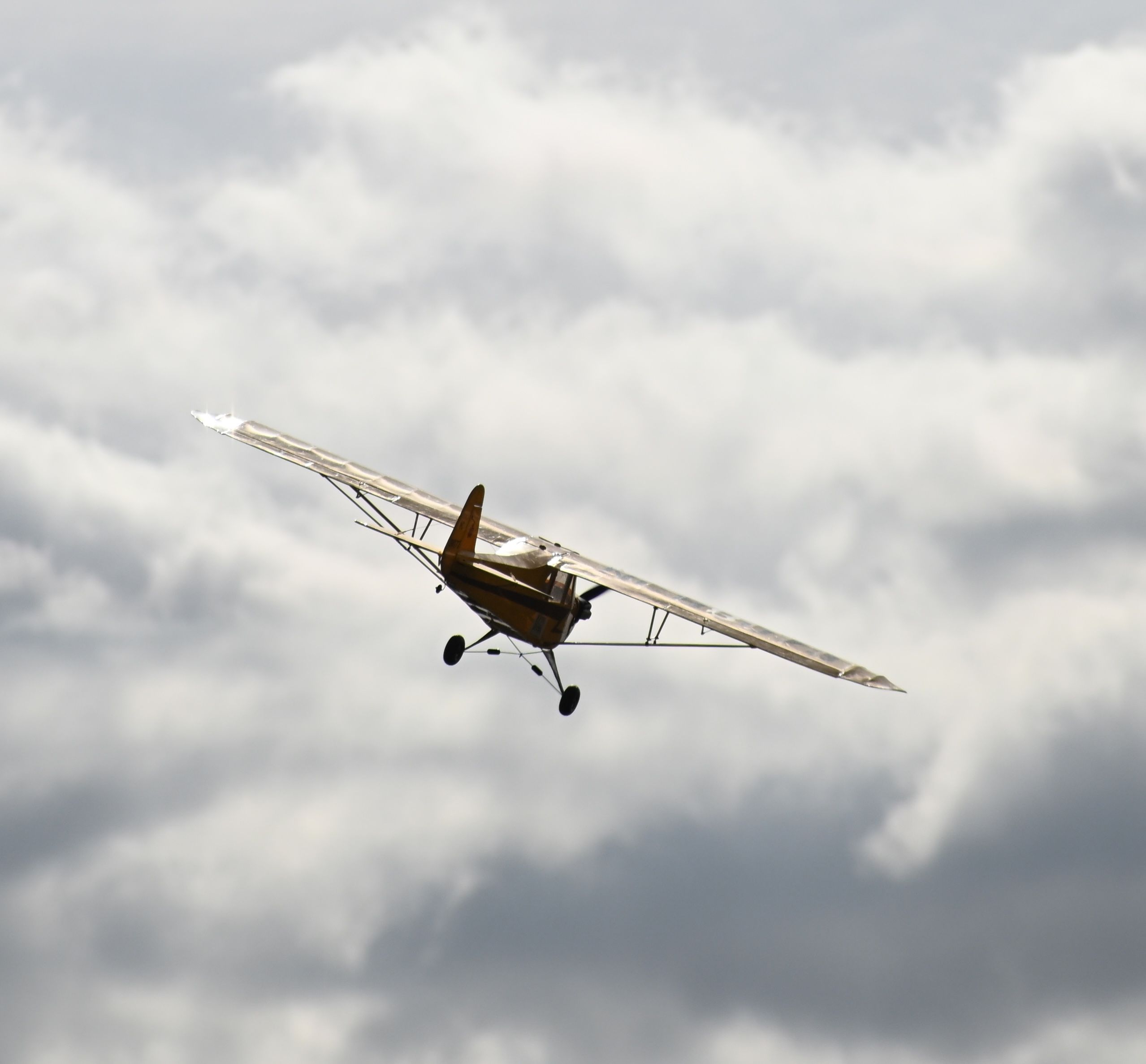 Modellflug zum Ausprobieren